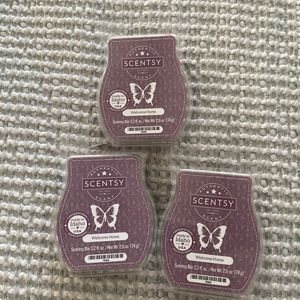 COPY - Scentsy Bars Welcome Home